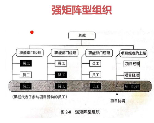 信息系統(tǒng)項目管理基礎(chǔ) 生物質(zhì)能資源數(shù)據(jù)庫信息系統(tǒng)
