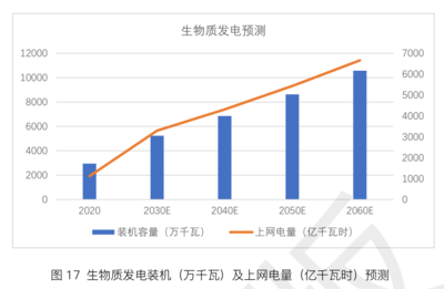 生物質(zhì)能在碳中和進(jìn)程中的關(guān)鍵作用分析——基于生物質(zhì)能資源數(shù)據(jù)庫(kù)信息系統(tǒng)的視角